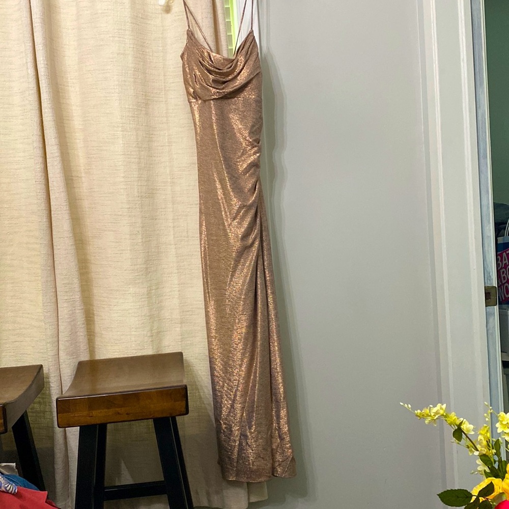 Beautiful Metallic Gown